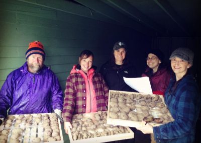 Potato Growing Workshop purple fingerling sustainability